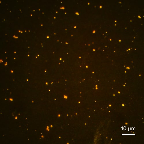 Stressed IgG sample